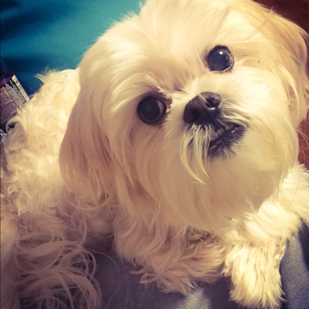 Meet your Posher, Lyn